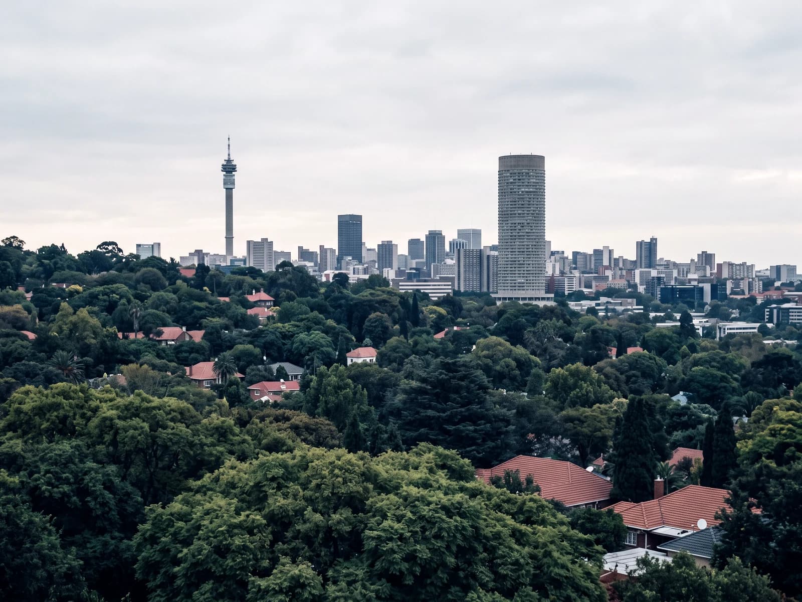Johannesburg's skyline, with the Hillbrow Tower and Ponte City, above the trees of the suburbs.